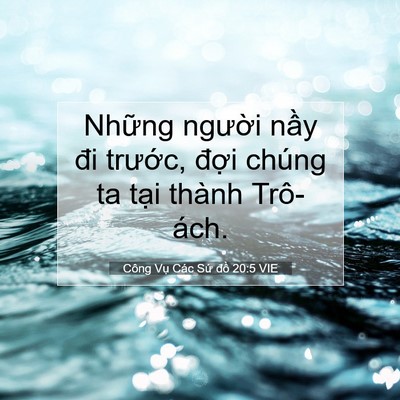 Picture 07 - Công Vụ Các Sứ đồ 20:5 VIE - Những người nầy đi trước, đợi - Bible Verse Picture