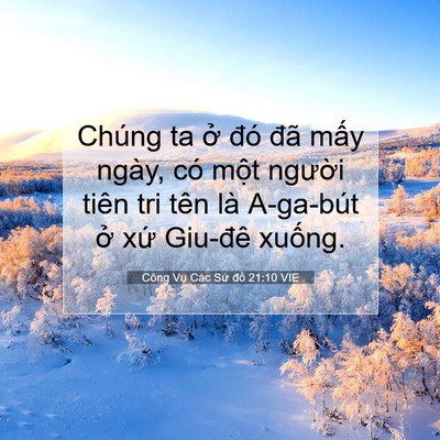Picture 07 - Công Vụ Các Sứ đồ 21:10 VIE - Chúng ta ở đó đã mấy ngày, có một - Bible Verse Picture