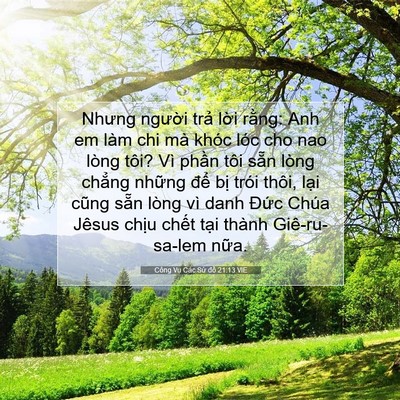 Picture 07 - Công Vụ Các Sứ đồ 21:13 VIE - Nhưng người trả lời rằng: Anh em làm - Bible Verse Picture