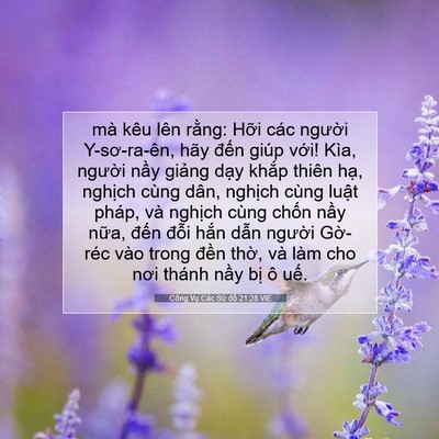 Picture 07 - Công Vụ Các Sứ đồ 21:28 VIE - mà kêu lên rằng: Hỡi các người - Bible Verse Picture
