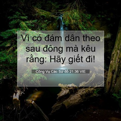Picture 07 - Công Vụ Các Sứ đồ 21:36 VIE - Vì có đám dân theo sau đông mà kêu - Bible Verse Picture
