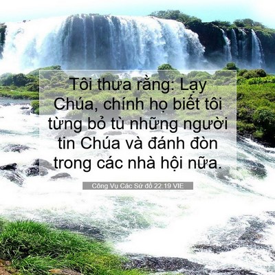 Picture 07 - Công Vụ Các Sứ đồ 22:19 VIE - Tôi thưa rằng: Lạy Chúa, chính họ - Bible Verse Picture