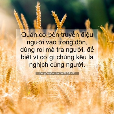 Picture 07 - Công Vụ Các Sứ đồ 22:24 VIE - Quản cơ bèn truyền điệu người vào - Bible Verse Picture