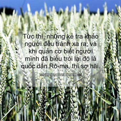 Picture 07 - Công Vụ Các Sứ đồ 22:29 VIE - Tức thì, những kẻ tra khảo người - Bible Verse Picture