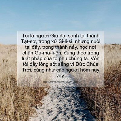 Picture 07 - Công Vụ Các Sứ đồ 22:3 VIE - Tôi là người Giu-đa, sanh tại thành - Bible Verse Picture