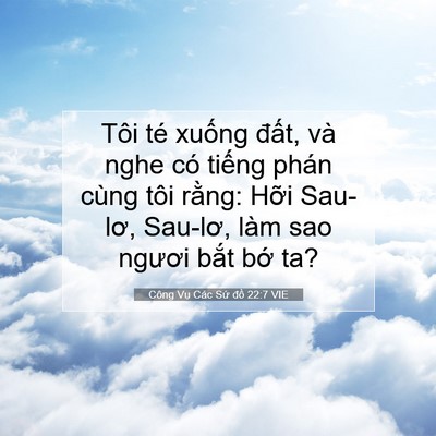 Picture 07 - Công Vụ Các Sứ đồ 22:7 VIE - Tôi té xuống đất, và nghe có tiếng - Bible Verse Picture