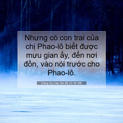 Picture 07 - Công Vụ Các Sứ đồ 23:16 VIE - Nhưng có con trai của chị Phao-lô biết - Bible Verse Picture