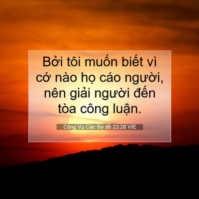 Picture 07 - Công Vụ Các Sứ đồ 23:28 VIE - Bởi tôi muốn biết vì cớ nào họ cáo - Bible Verse Picture