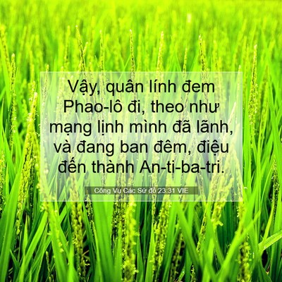 Picture 07 - Công Vụ Các Sứ đồ 23:31 VIE - Vậy, quân lính đem Phao-lô đi, theo như - Bible Verse Picture