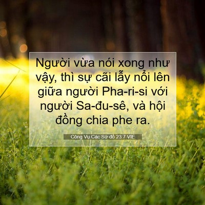 Picture 07 - Công Vụ Các Sứ đồ 23:7 VIE - Người vừa nói xong như vậy, thì sự - Bible Verse Picture