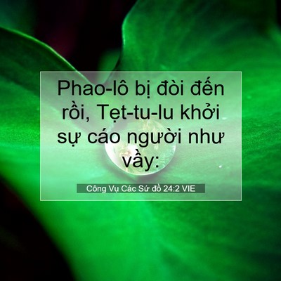 Picture 07 - Công Vụ Các Sứ đồ 24:2 VIE - Phao-lô bị đòi đến rồi, Tẹt-tu-lu - Bible Verse Picture
