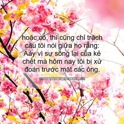 Picture 07 - Công Vụ Các Sứ đồ 24:21 VIE - hoặc có, thì cũng chỉ trách câu tôi - Bible Verse Picture