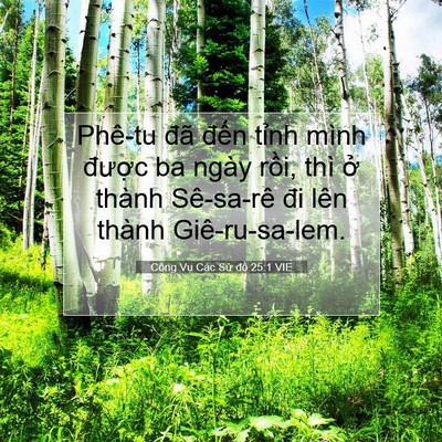 Picture 07 - Công Vụ Các Sứ đồ 25:1 VIE - Phê-tu đã đến tỉnh mình được ba - Bible Verse Picture