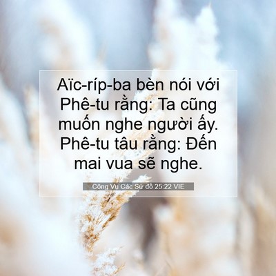 Picture 07 - Công Vụ Các Sứ đồ 25:22 VIE - Aïc-ríp-ba bèn nói với Phê-tu rằng: Ta - Bible Verse Picture