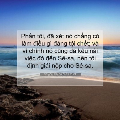 Picture 07 - Công Vụ Các Sứ đồ 25:25 VIE - Phần tôi, đã xét nó chẳng có làm - Bible Verse Picture