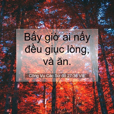 Picture 07 - Công Vụ Các Sứ đồ 27:36 VIE - Bấy giờ ai nấy đều giục lòng, và - Bible Verse Picture