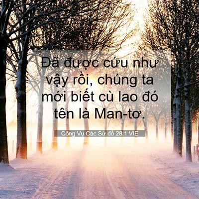 Picture 07 - Công Vụ Các Sứ đồ 28:1 VIE - Đã được cứu như vậy rồi, chúng ta - Bible Verse Picture