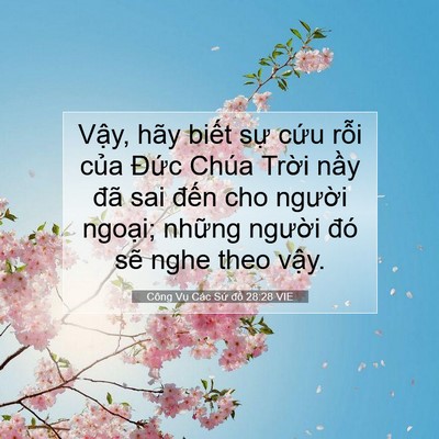 Picture 07 - Công Vụ Các Sứ đồ 28:28 VIE - Vậy, hãy biết sự cứu rỗi của Đức - Bible Verse Picture
