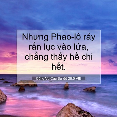 Picture 07 - Công Vụ Các Sứ đồ 28:5 VIE - Nhưng Phao-lô rảy rắn lục vào lửa, - Bible Verse Picture