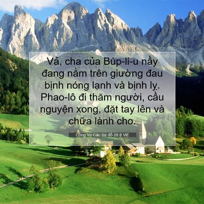 Picture 07 - Công Vụ Các Sứ đồ 28:8 VIE - Vả, cha của Búp-li-u nầy đang nằm trên - Bible Verse Picture