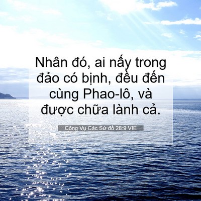 Picture 07 - Công Vụ Các Sứ đồ 28:9 VIE - Nhân đó, ai nấy trong đảo có bịnh, - Bible Verse Picture