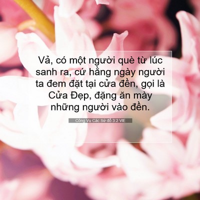 Picture 07 - Công Vụ Các Sứ đồ 3:2 VIE - Vả, có một người què từ lúc sanh ra, - Bible Verse Picture