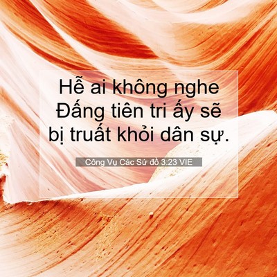 Picture 07 - Công Vụ Các Sứ đồ 3:23 VIE - Hễ ai không nghe Đấng tiên tri ấy sẽ - Bible Verse Picture