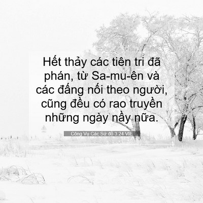 Picture 07 - Công Vụ Các Sứ đồ 3:24 VIE - Hết thảy các tiên tri đã phán, từ - Bible Verse Picture