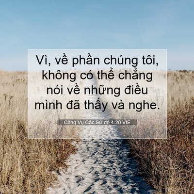 Picture 07 - Công Vụ Các Sứ đồ 4:20 VIE - Vì, về phần chúng tôi, không có thể - Bible Verse Picture