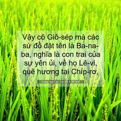 Picture 07 - Công Vụ Các Sứ đồ 4:36 VIE - Vậy có Giô-sép mà các sứ đồ đặt - Bible Verse Picture