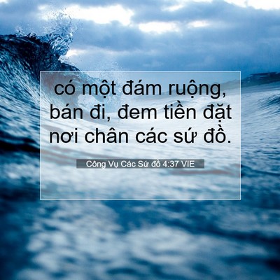 Picture 07 - Công Vụ Các Sứ đồ 4:37 VIE - có một đám ruộng, bán đi, đem tiền - Bible Verse Picture