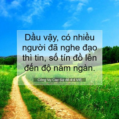 Picture 07 - Công Vụ Các Sứ đồ 4:4 VIE - Dầu vậy, có nhiều người đã nghe - Bible Verse Picture