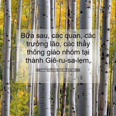 Picture 07 - Công Vụ Các Sứ đồ 4:5 VIE - Bữa sau, các quan, các trưởng lão, các - Bible Verse Picture