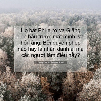 Picture 07 - Công Vụ Các Sứ đồ 4:7 VIE - Họ bắt Phi-e-rơ và Giăng đến hầu - Bible Verse Picture