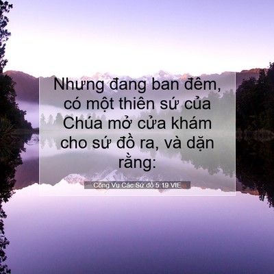 Picture 07 - Công Vụ Các Sứ đồ 5:19 VIE - Nhưng đang ban đêm, có một thiên sứ - Bible Verse Picture