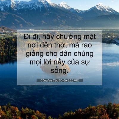 Picture 07 - Công Vụ Các Sứ đồ 5:20 VIE - Đi đi, hãy chường mặt nơi đền thờ, - Bible Verse Picture