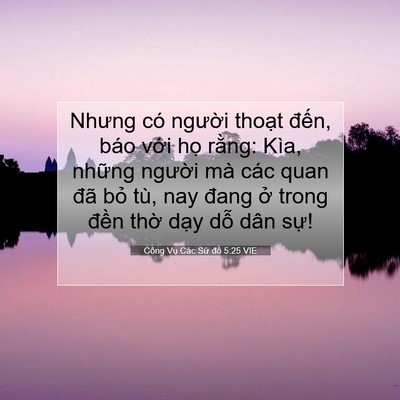 Picture 07 - Công Vụ Các Sứ đồ 5:25 VIE - Nhưng có người thoạt đến, báo với - Bible Verse Picture
