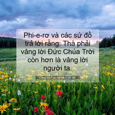 Picture 07 - Công Vụ Các Sứ đồ 5:29 VIE - Phi-e-rơ và các sứ đồ trả lời rằng: - Bible Verse Picture