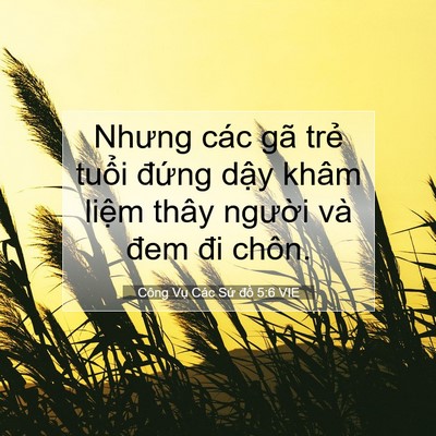 Picture 07 - Công Vụ Các Sứ đồ 5:6 VIE - Nhưng các gã trẻ tuổi đứng dậy khâm - Bible Verse Picture