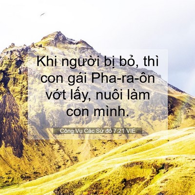 Picture 07 - Công Vụ Các Sứ đồ 7:21 VIE - Khi người bị bỏ, thì con gái Pha-ra-ôn - Bible Verse Picture