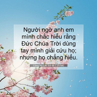 Picture 07 - Công Vụ Các Sứ đồ 7:25 VIE - Người ngờ anh em mình chắc hiểu rằng - Bible Verse Picture