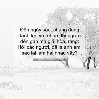 Picture 07 - Công Vụ Các Sứ đồ 7:26 VIE - Đến ngày sau, chúng đang đánh lộn với - Bible Verse Picture