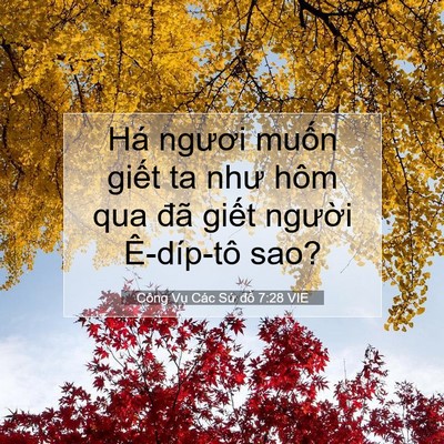 Picture 07 - Công Vụ Các Sứ đồ 7:28 VIE - Há ngươi muốn giết ta như hôm qua đã - Bible Verse Picture