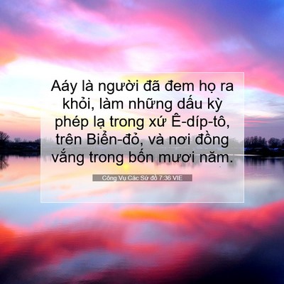 Picture 07 - Công Vụ Các Sứ đồ 7:36 VIE - Aáy là người đã đem họ ra khỏi, làm - Bible Verse Picture