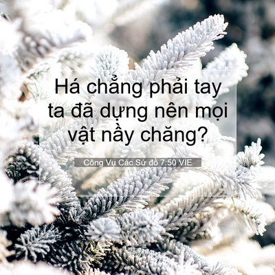Picture 07 - Công Vụ Các Sứ đồ 7:50 VIE - Há chẳng phải tay ta đã dựng nên mọi - Bible Verse Picture