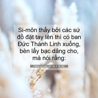 Picture 07 - Công Vụ Các Sứ đồ 8:18 VIE - Si-môn thấy bởi các sứ đồ đặt tay - Bible Verse Picture