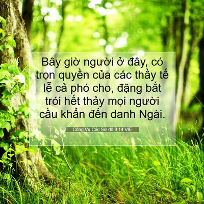 Picture 07 - Công Vụ Các Sứ đồ 9:14 VIE - Bây giờ người ở đây, có trọn quyền - Bible Verse Picture