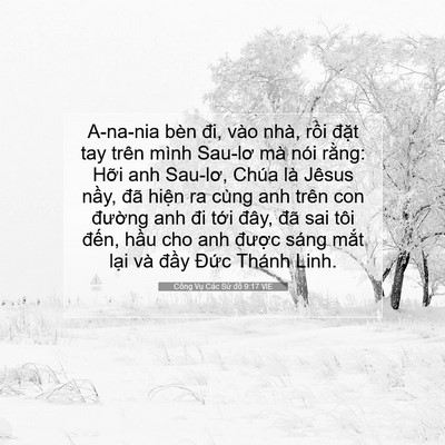 Picture 07 - Công Vụ Các Sứ đồ 9:17 VIE - A-na-nia bèn đi, vào nhà, rồi đặt tay - Bible Verse Picture
