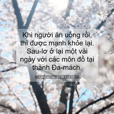 Picture 07 - Công Vụ Các Sứ đồ 9:19 VIE - Khi người ăn uống rồi, thì được - Bible Verse Picture