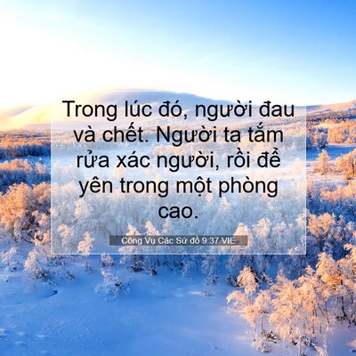 Picture 07 - Công Vụ Các Sứ đồ 9:37 VIE - Trong lúc đó, người đau và chết. - Bible Verse Picture